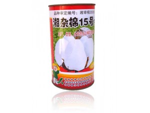 种子罐